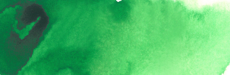 Image of Akvarellfärg ShinHan Premium PWC 15ml Hooker's Green B 575 (3F) 12141520575 8803332570317