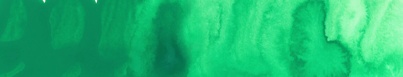 Image of Akvarellfärg ShinHan Premium PWC 15ml Emerald Green Nova B 583 (3F) 12141520583 8803332570324