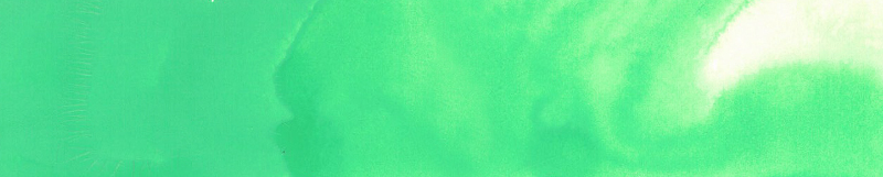 Image of Akvarellfärg ShinHan Premium PWC 15ml Green Pale  A 586 (3F) 12141510586 8803332570744