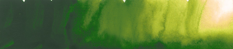 Image of Akvarellfärg ShinHan Premium PWC 15ml Sap green C 589 (3F) 12141530589 8803332570560