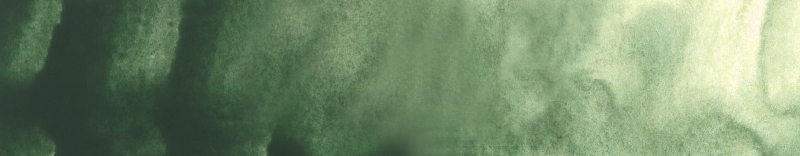 Image of Akvarellfärg ShinHan Premium PWC 15ml Terre verte B 592 (3F) 12141520592 8803332570430