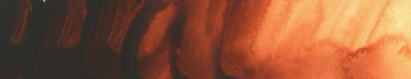 Image of Akvarellfärg ShinHan Premium PWC 15ml Brown B 667 (3F) 12141520667 8803332570461