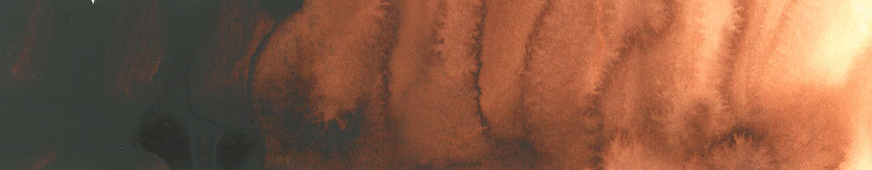 Image of Akvarellfärg ShinHan Premium PWC 15ml Burnt Umber B 669 (3F) 12141520669 8803332570430