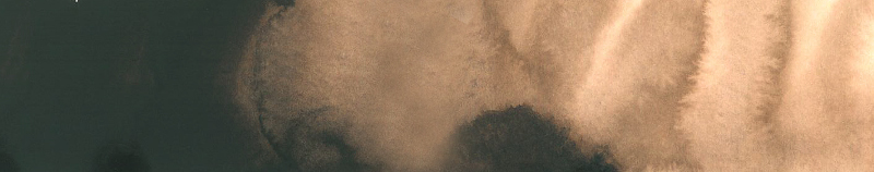Image of Akvarellfärg ShinHan Premium PWC 15ml Vandyke brown 2 B 680 (3F) 12141520680 8803332570430