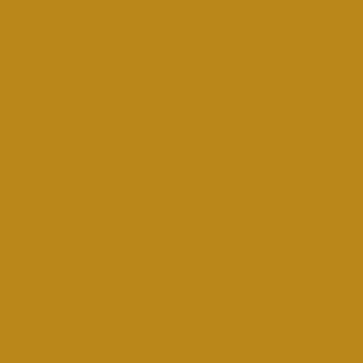 Image of Touch Refill Yellow Ochre BR101 20ml (3F) 1410101 8809309667790