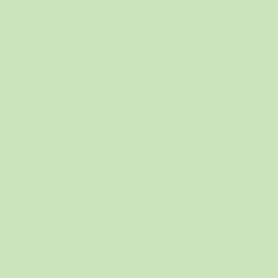 Image of Touch Twin Marker Pale Green Light GY167 (6F) 111167 8809309661255