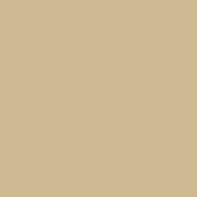 Image of Touch Twin BRUSH Marker Straw Yellow Y223 (6F) 121223 8809326960829