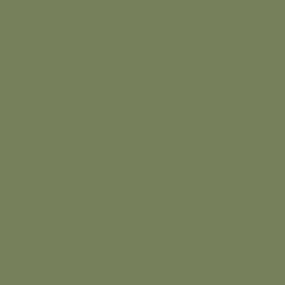 Image of Touch Refill Olive Green Y41 20ml (3F) 1410041 8809309667240