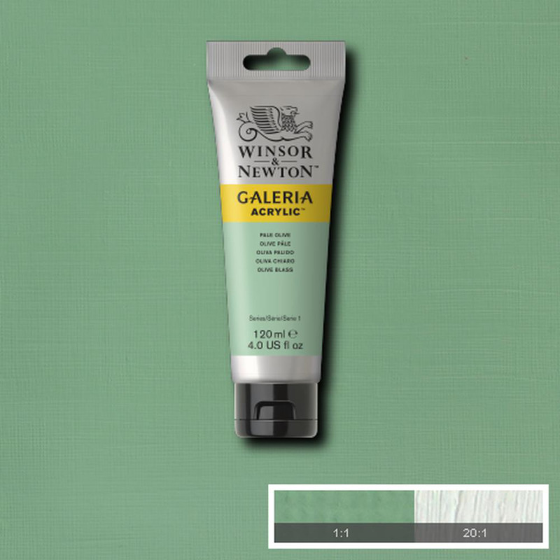 Image of Akrylfärg Galeria 120ml  Pale Olive   435 2131435 094376986914
