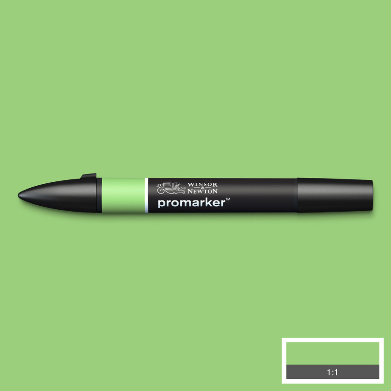 Image of Promarker Winsor & Newton Apple (G338) (3F) 0203210 884955041062