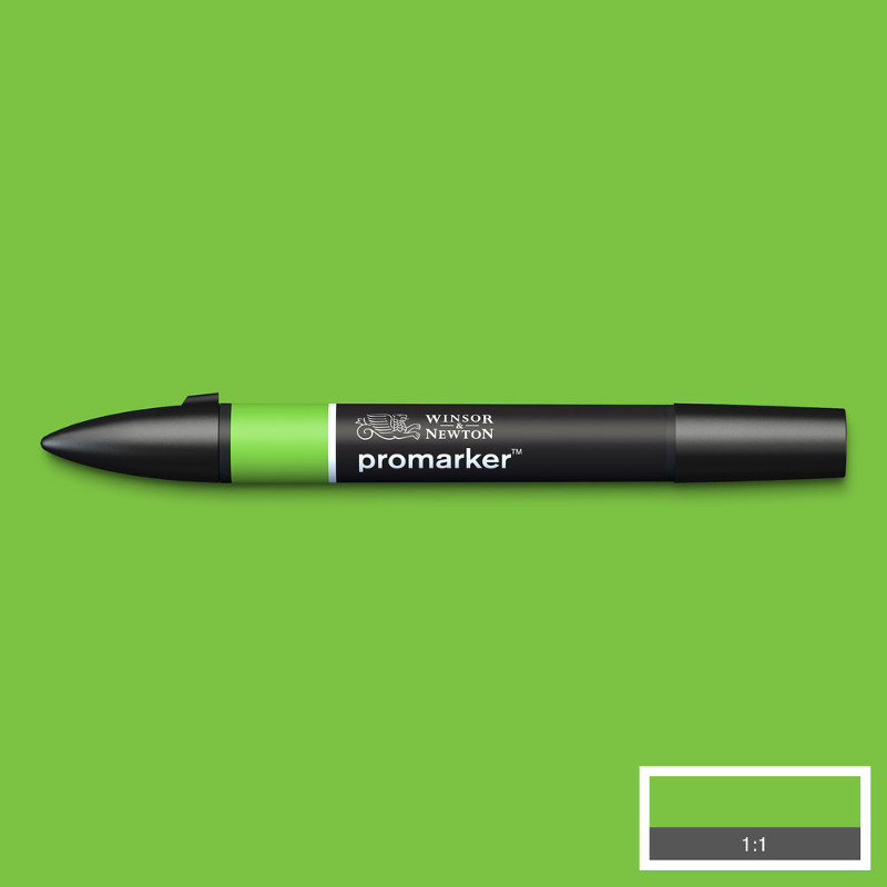 Image of Promarker Winsor & Newton Bright Green (G267) (3F) 0203069 884955041192