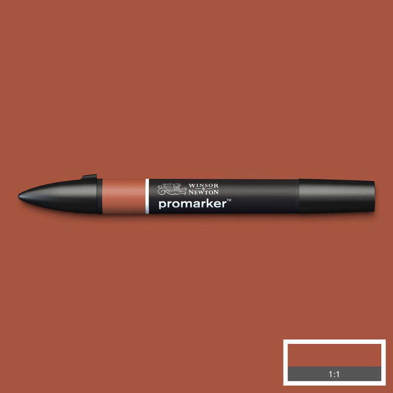 Image of Promarker Winsor & Newton Burnt Umber (R646) (3F) 0203076 884955041246