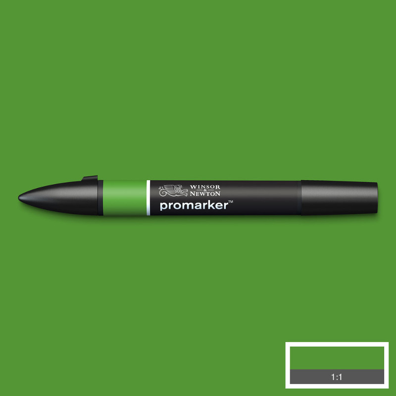 Image of Promarker Winsor & Newton Forrest Green (G356) (3F) 0203068 884955041529