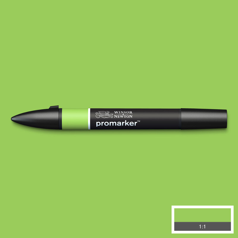 Image of Promarker Winsor & Newton Leaf Green (G258) (3F) 0203341 884955041734